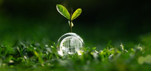 Sustentabilidade
